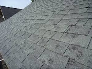 dallas-home-roof inspection